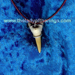 Shark tooth pendant